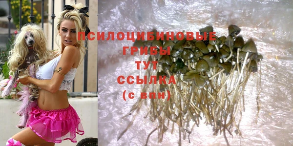 не бодяженный Кулебаки