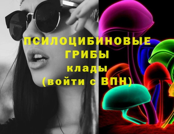 spice Кукмор