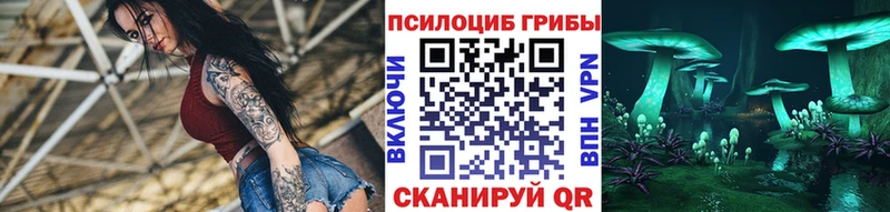 Купить где  Короча  Галлюциногенные грибы Cubensis 