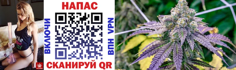 Бошки Шишки Ganja  Купить  Короча 
